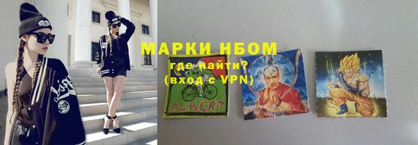 гашик Горняк
