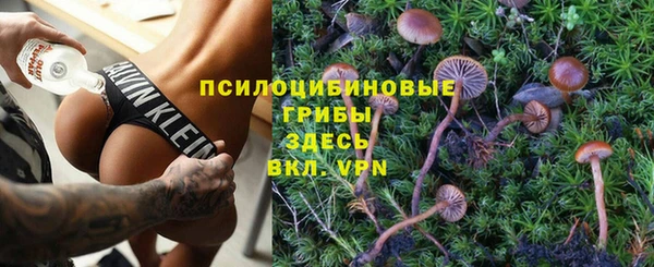 прущий лед Володарск