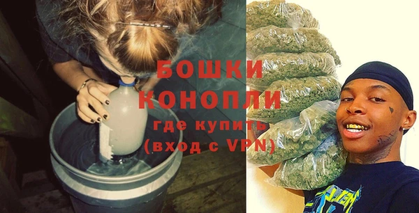 крисы Горнозаводск