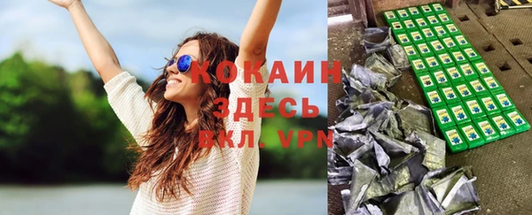 гашик Горняк