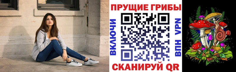 Галлюциногенные грибы Psilocybine cubensis  Жуковка 